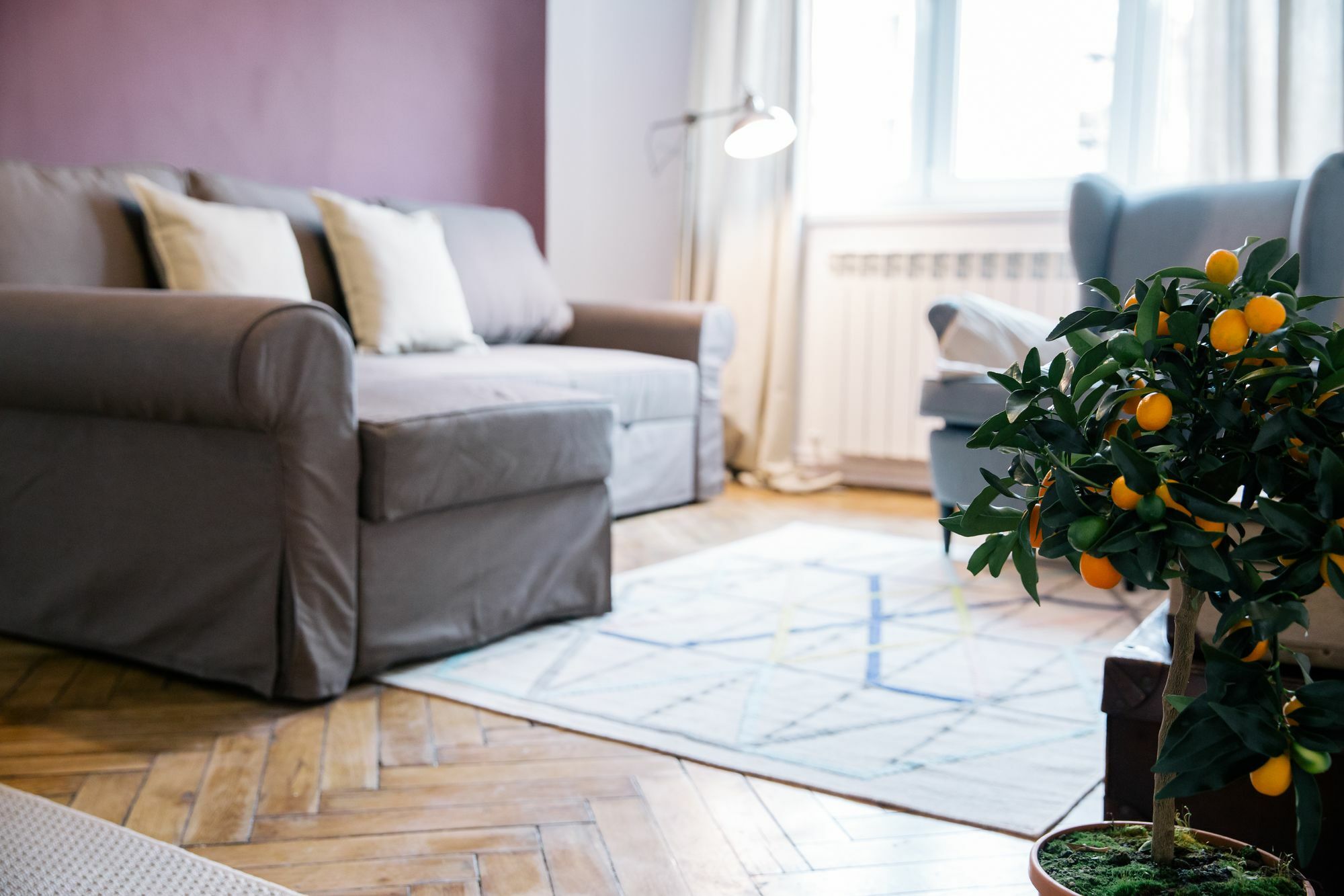Neo Apartment Horea Κλουζ-Ναπόκα Εξωτερικό φωτογραφία